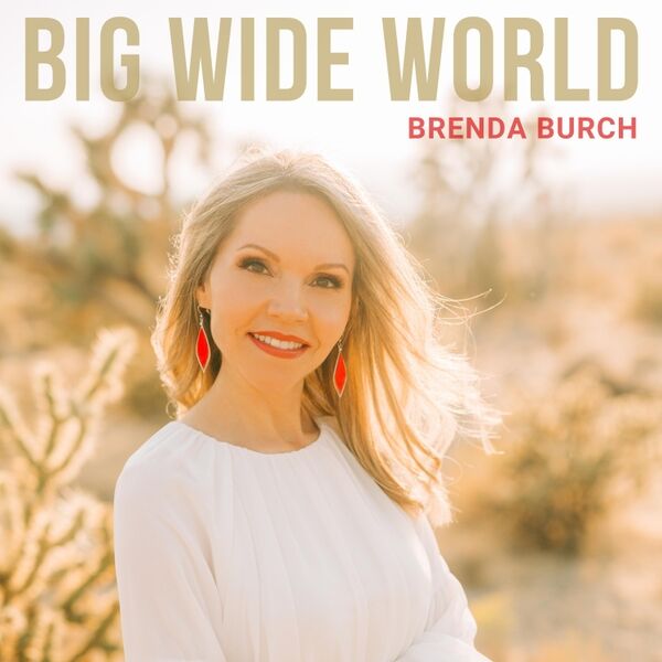 Cover art for Big Wide World